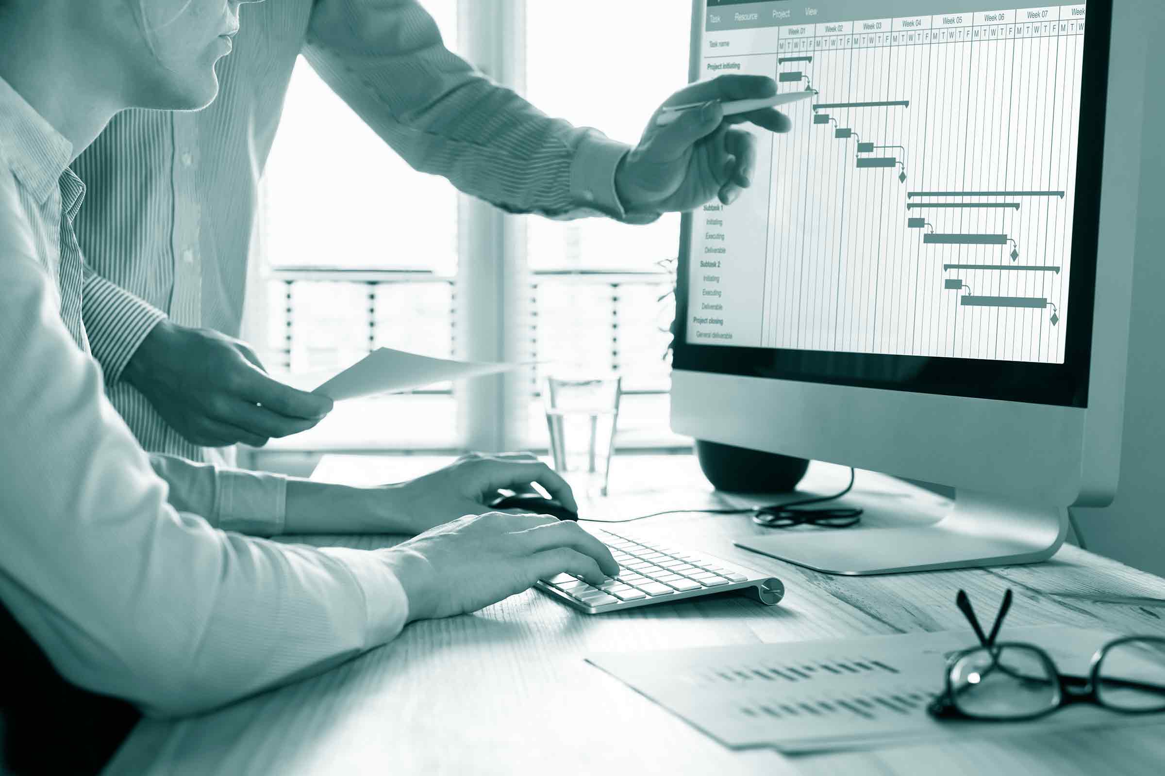 Risk and Project Management