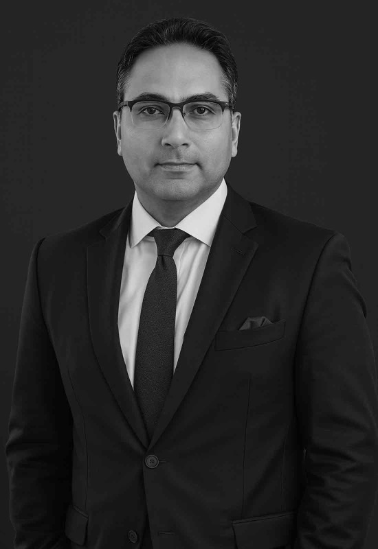 M. Mehdi Mirzazadeh